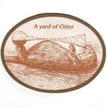 Otter UK 267